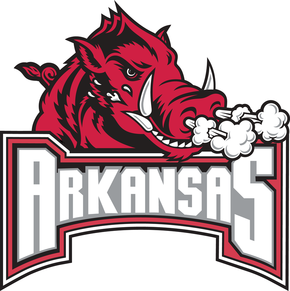 Arkansas Razorbacks 2001-2008 Secondary Logo DIY iron on transfer (heat transfer)